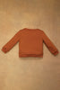 One Friday Baby Boys Orange Teddy Embroidered Sweat Shirt