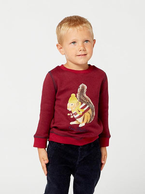 Sweaters for Baby Boys Jumpers for Babies Online One Friday World